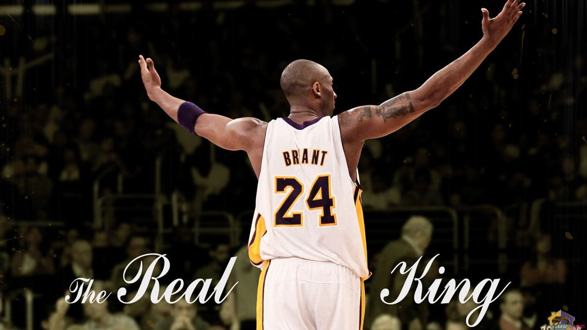 世界杯：球迷签证系统升级 一站式办理多国联动通行